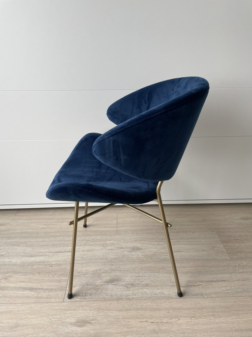 2x IKER CHERI Samtstühle, marineblau mit Messingbeinen