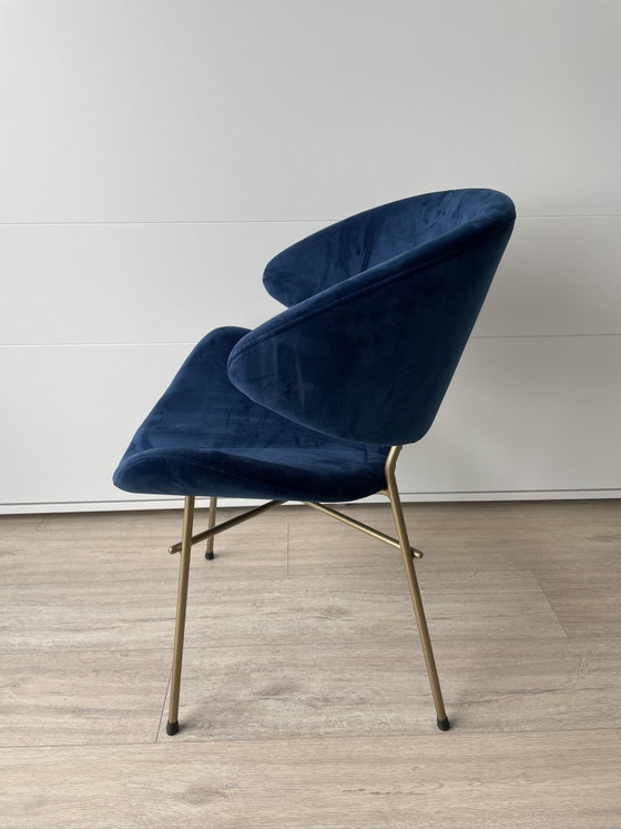 Image 1 of 2x IKER CHERI Samtstühle, marineblau mit Messingbeinen