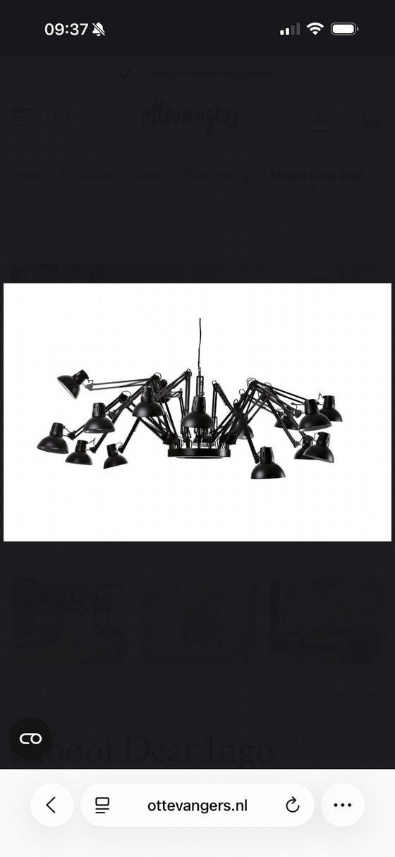 Image 1 of Estimada lámpara colgante Ingo negra de Moooi.