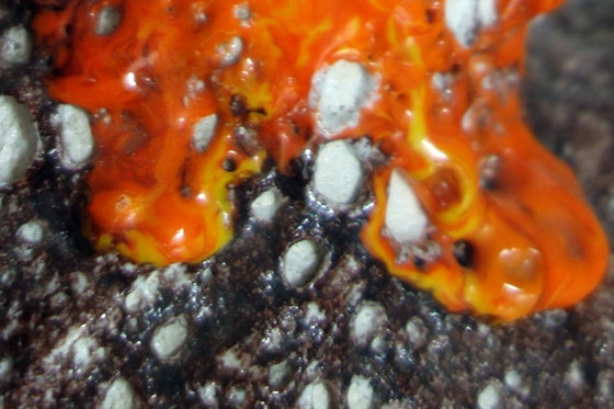 Image 1 of Pareja de jarrones Fat Lava Vallauris años 50 Francia