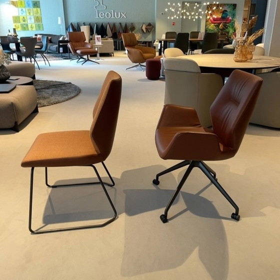 Image 1 of Leolux Mime Esszimmerstuhl (5er-Set)