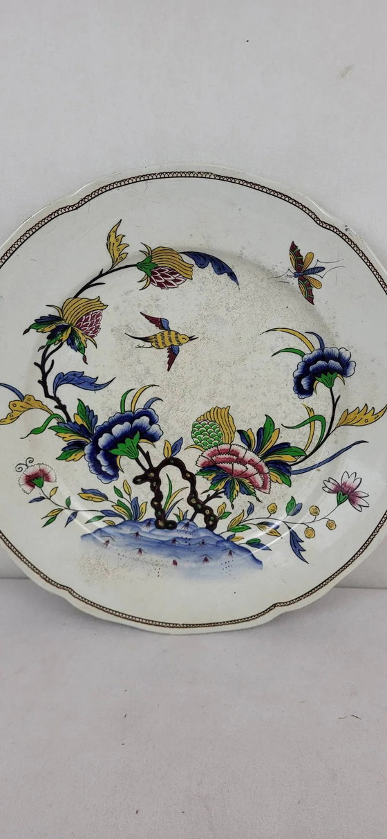 Piatto in maiolica Sarreguemines, modello Rouen – Stoviglie, Porcelain (photo 2 of 7)