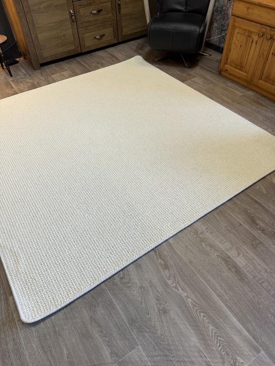 Image 1 of Bestwool Pearl