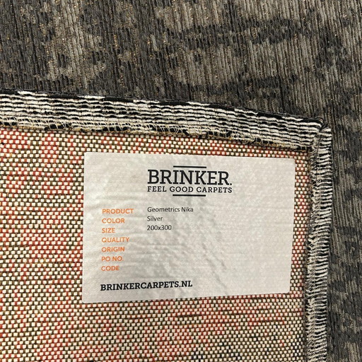 Brinker Carpets Nika Silver Rug - 200x300cm
