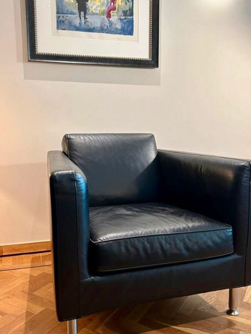 2x Minotti armchair