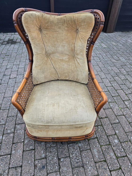 Giorgetti Wingchair – Poltrone, Rattan, Velluto (photo 3 of 7)