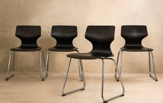 Image 1 of 4 sedie Flötotto Pagholz