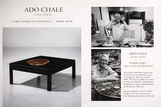 Image 1 of Salontafel van versteend Arizona-hout, hars en gelakt hout.