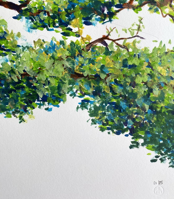 Image 1 of Gain shadows