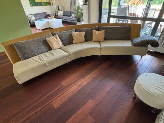 Montis Baku, Divani modulari, Pelle, Metallo, Beige, Modern (foto 3 di 5)