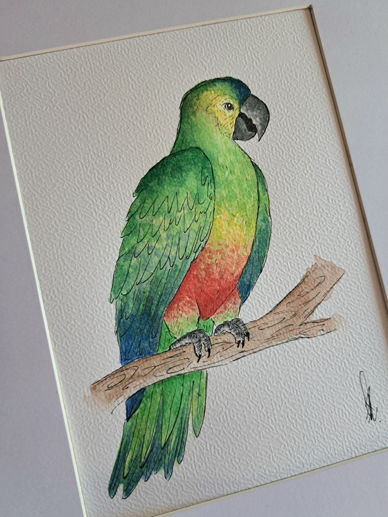 Image 1 of Aquarell-Papagei (Original) | Goldfarbener Rahmen