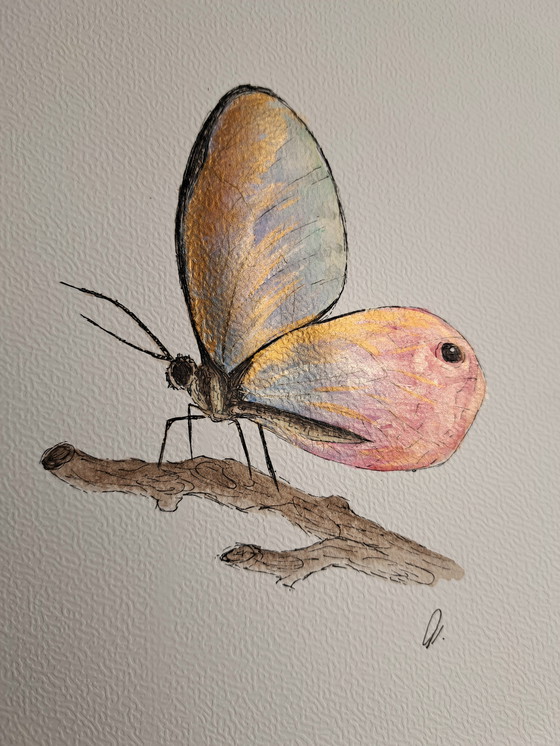 Image 1 of Watercolor painting Blushing Phantom Butterfly in gold-colored frame