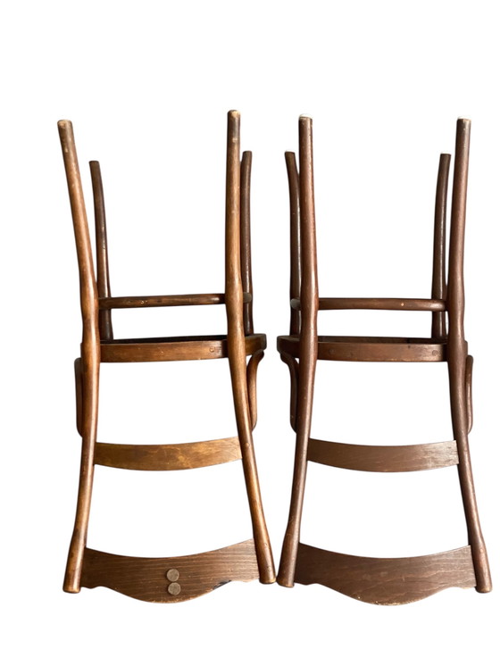 Image 1 of Zeldzame set antieke Thonet-Mundus stoelen, circa 1920 – Weense Secession elegantie in origineel gebogen hout.