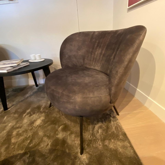 Image 1 of Poltrona Barletta di Hofstede Raanhuis