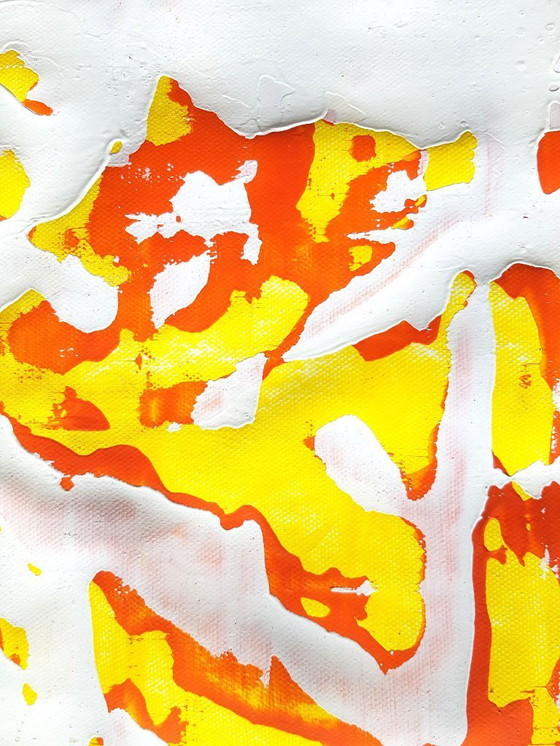 Image 1 of Jürgen Angeler - De uitgebreide witte