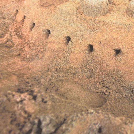 Image 1 of  "Città liquida"