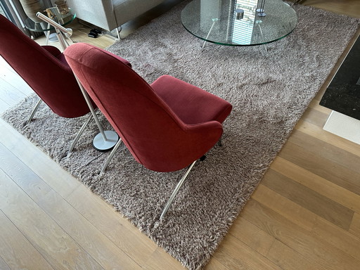 CS Rugs Tapis Sauvage