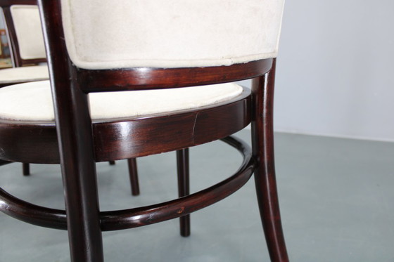 Image 1 of Pareja de sillones Thonet de los años 30 restaurados , Checoslovaquia