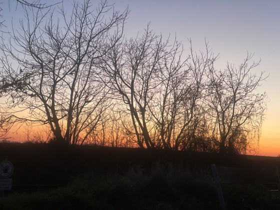 Image 1 of Harmonious Art Nouveau cabinet