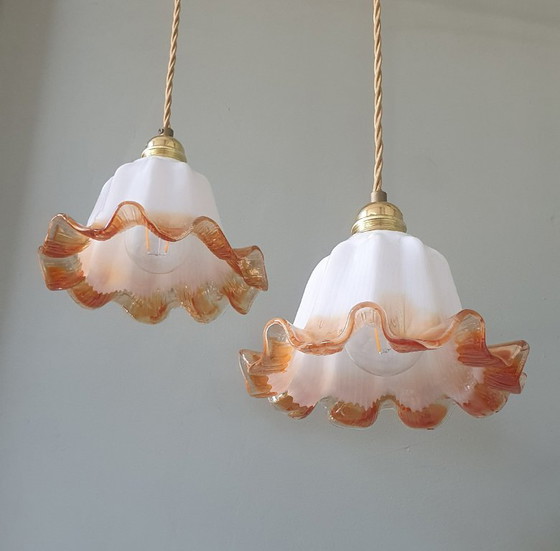 Set of Vintage Glass Pendant Lights. Floral / Flower-shaped Glass – Pendant lamps, Metal (photo 24 of 24)