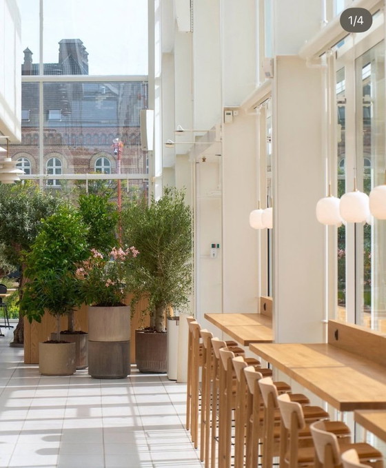 Image 1 of Chaise 2 Takt Cross Bar 75 cm en chêne et cuir