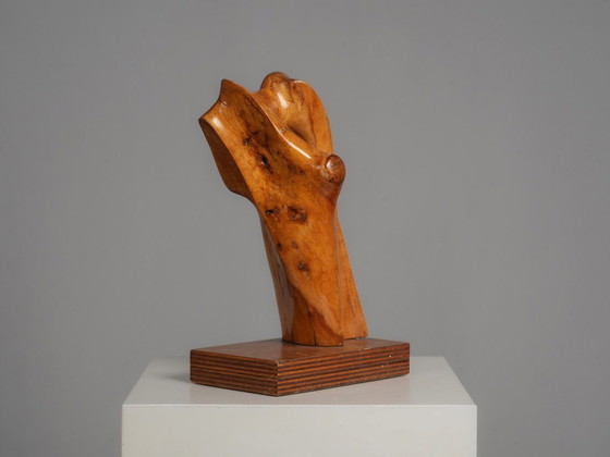 Organische houtsculptuur van H. Hinfelaar, Nederland, jaren 80. – Beeldhouwkunst, Wood (photo 3 of 9)