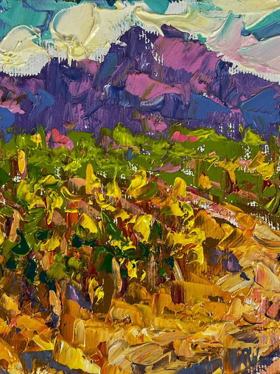 Image 1 of Vineyards near the Mountains