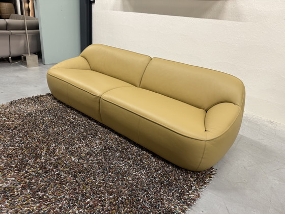 Image 1 of Divano Pode Nivti 3,5 posti Pelle Perla Salba 