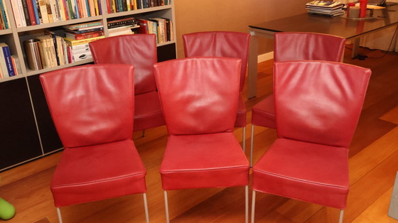 Image 1 of 6 chaises de salle à manger Montis Spica, cuir, couleur cerisier Gaucho