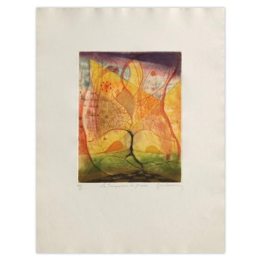 René Carcan, Gesigneerde ets, Transparantie van vormen, 1991 – lithos zeefdrukken, Paper (photo 2 of 5)