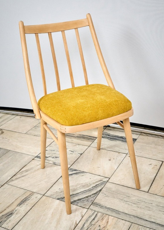 Image 1 of Set of two Vintage Chairs, designed by A. Suman in Czechoslovakia, 1960s
