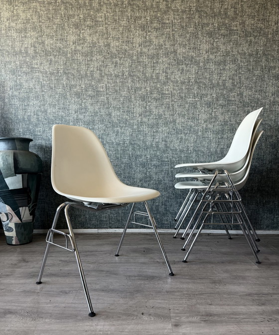 Image 1 of 8 sedie laterali in plastica Vitra Eames RE DSS – Charles & Ray Eames