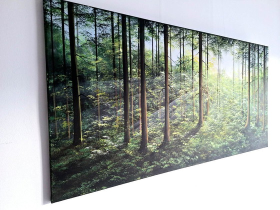 Image 1 of Patrycja Wachecka "Forêt" XXL