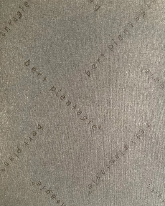 Image 1 of 2x Bert Plantagie Arc eetkamerstoel leer