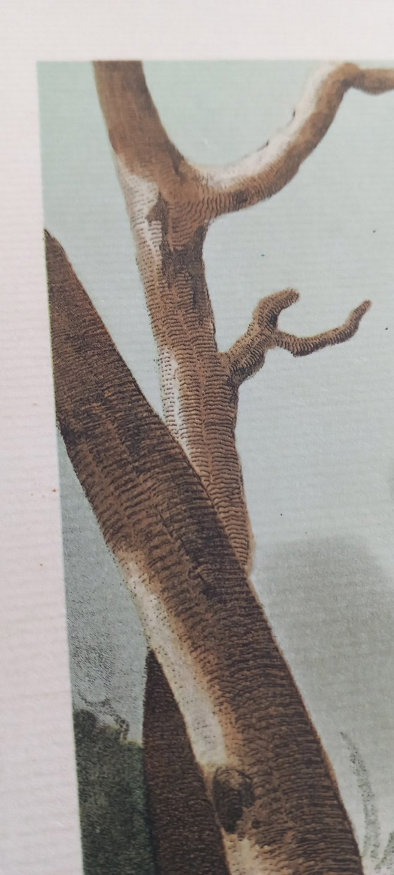 Image 1 of Antiker handkolorierter Kupferstich „Schnepfenjagd“ – Jagdszene – ca. frühes 19. Jahrhundert