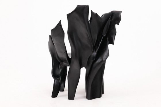 Image 1 of Fauteuil sculptural en bois noir carbonisé aux formes organiques par Logniture