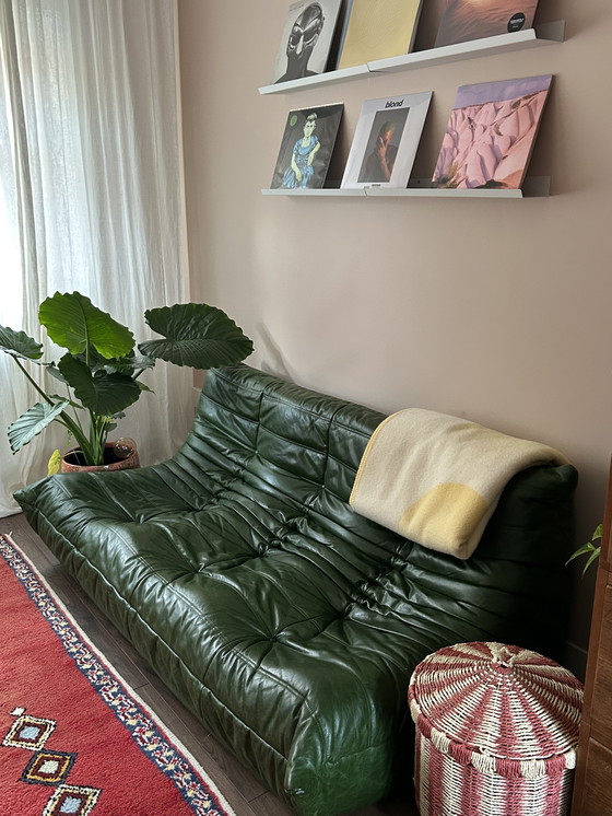 Image 1 of Ligne Roset Togo piel verde