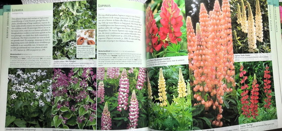 Image 1 of (W039) Le grand livre des plantes de jardin d'Ian Spence