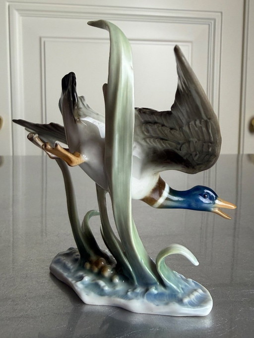 Hutschenreuther Selb Kunstabteilung – „Fliegender Erpel“ – Hans Achtziger – Modell 2163 (Entwurf 1950) – frühe Ausführung