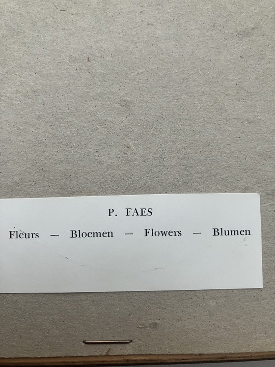 Image 1 of Set mit 2 klassischen Blumenstillleben – Pieter Faes & Cornelis van Spaendonck
