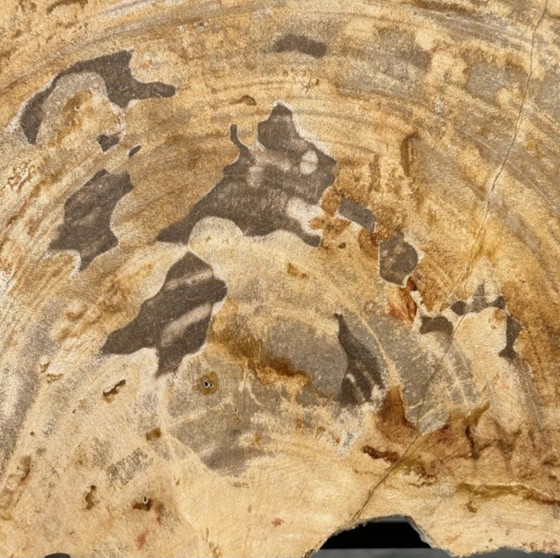 Image 1 of Bois fossilisé de Sooka, fabrication sur mesure standard (neuf)