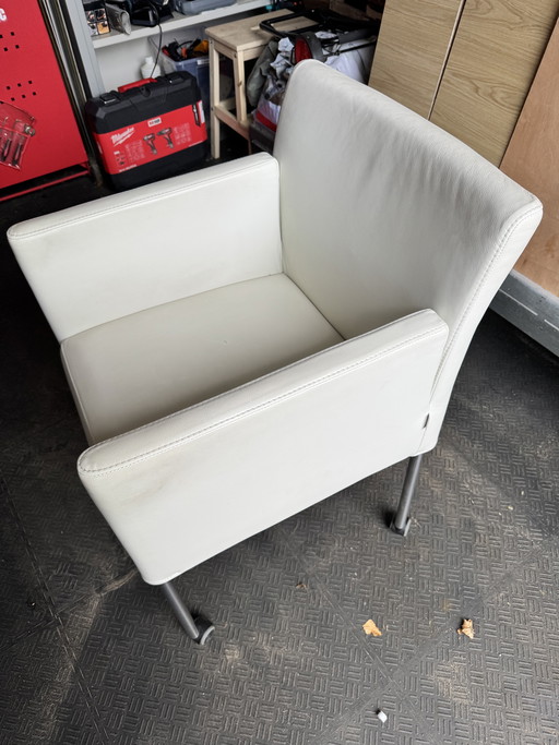 Gelderland dining chairs Lucca model