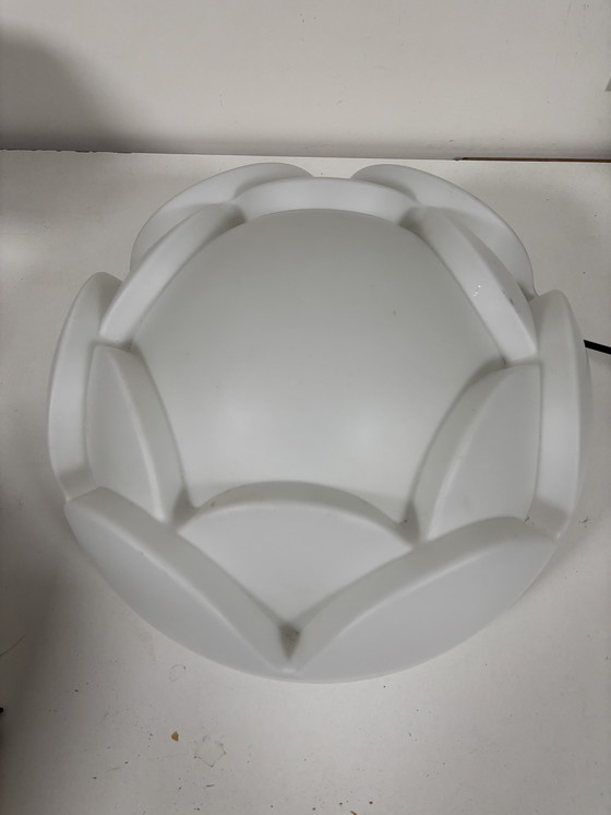 Image 1 of Artisjok / Seerose /Nizza wand - plafondlamp Peill Putzler uniek groot model 40cm