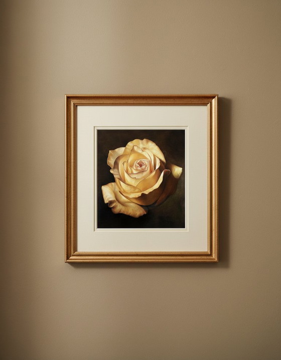 Image 1 of Magie van de Roos - Campana, Franco - Gele Roos - Kunstdruk