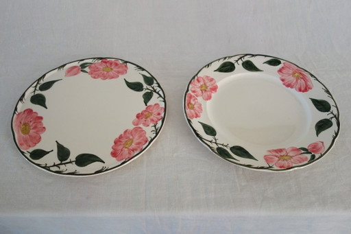 2 runde Teller „Wild Rose“ von Villeroy & Boch, 1970 – servies, Ceramic