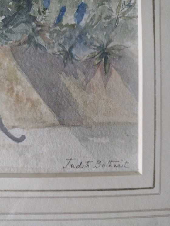 Image 1 of Aquarel van Judith Bathurst