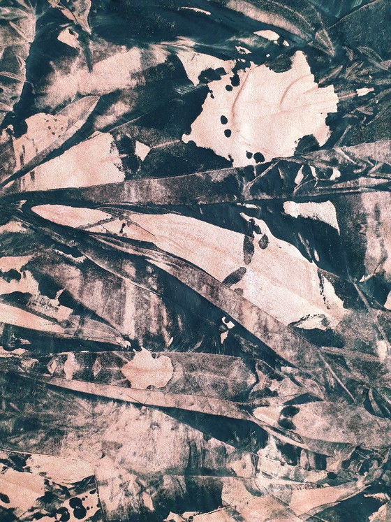 Jürgen Angeler - Copper Orchid – Paintings & Drawings, Canvas (photo 3 of 16)