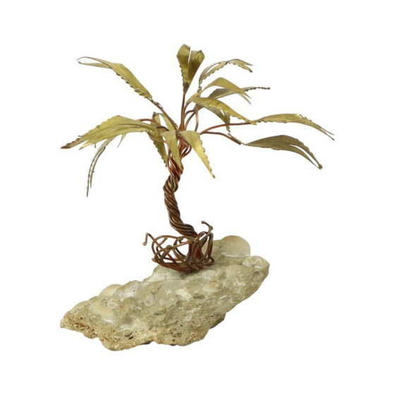 Image 1 of Palma sulla roccia Daniel D'Haeseleer