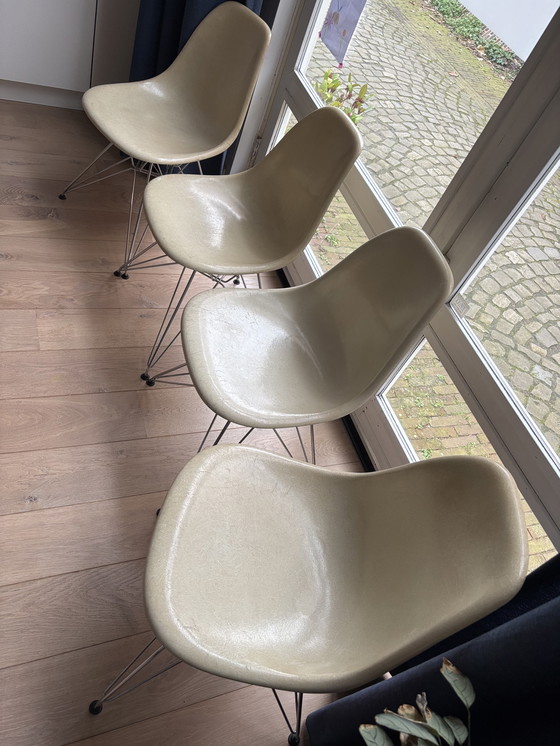 Image 1 of 4 sedie laterali vintage Eames Miller DSR in fibra di vetro – pergamena