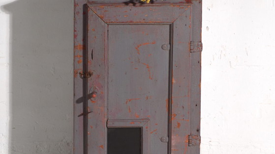 Antieke beschilderde kast van grenenhout – Centraal-Europa, circa 1900 – Opbergkast, Iron, Rustic (photo 3 of 40)